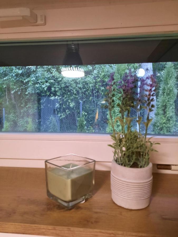 Zacisze Huta Villa Huta  Eksteriør billede